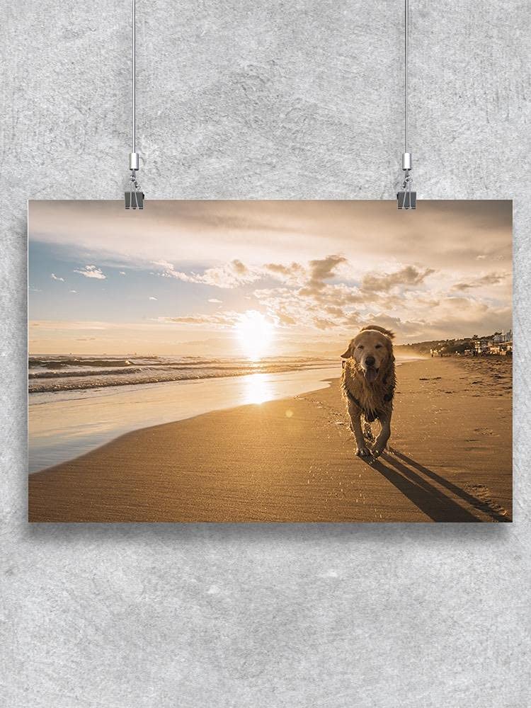 Golden Retriever Walking On Beach Sand Wall Art Print - Perfect for Living Room, Bedroom Decor & Dog Lover Gifts