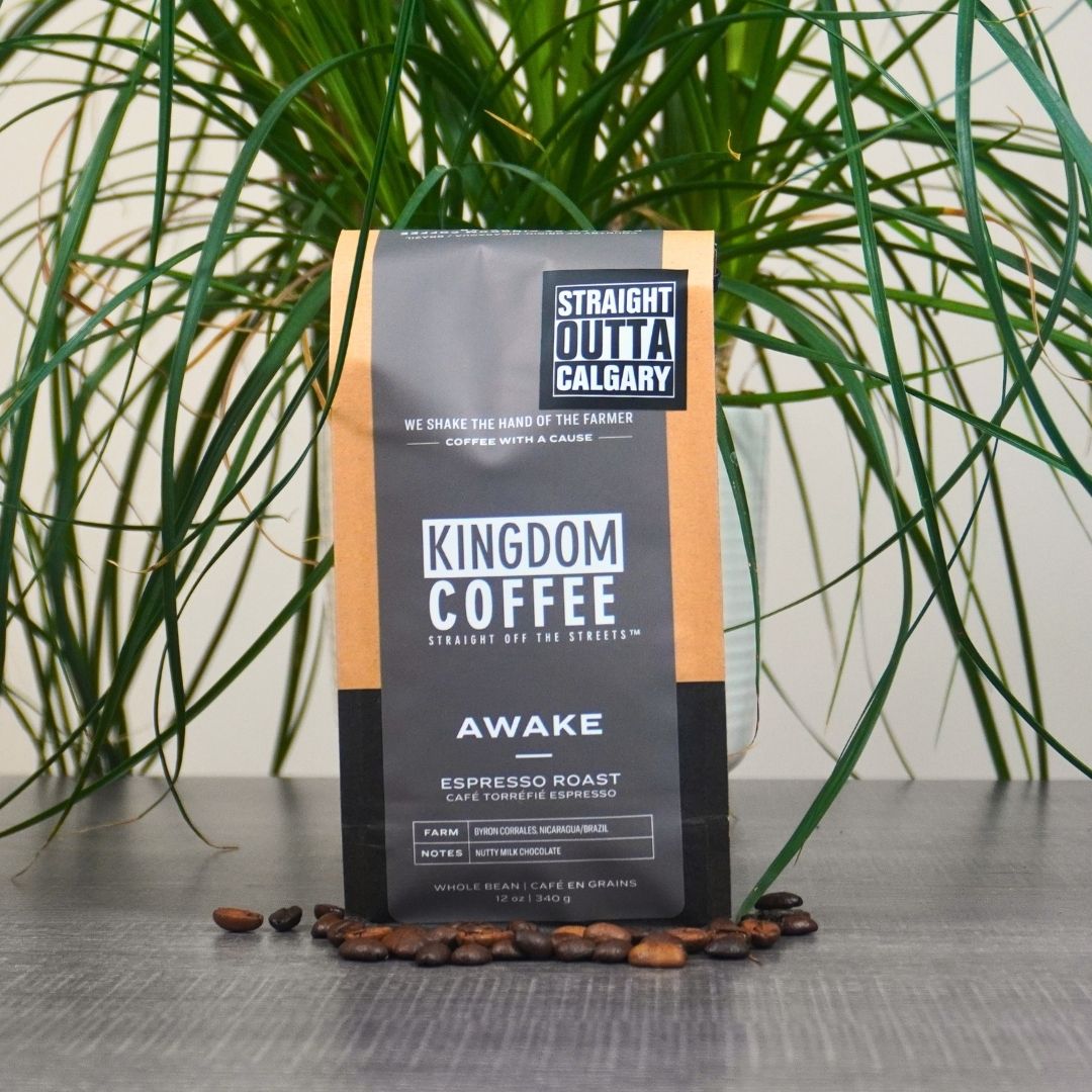 Premium Kingdom Coffee Awake Arabica Coffee Beans - Fresh Roasted, Rich Flavor for Home Brewing, Office & Gifting - Perfect for Drip, French Press & Espresso Machines