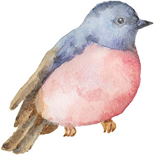 Blue Gray Pink
