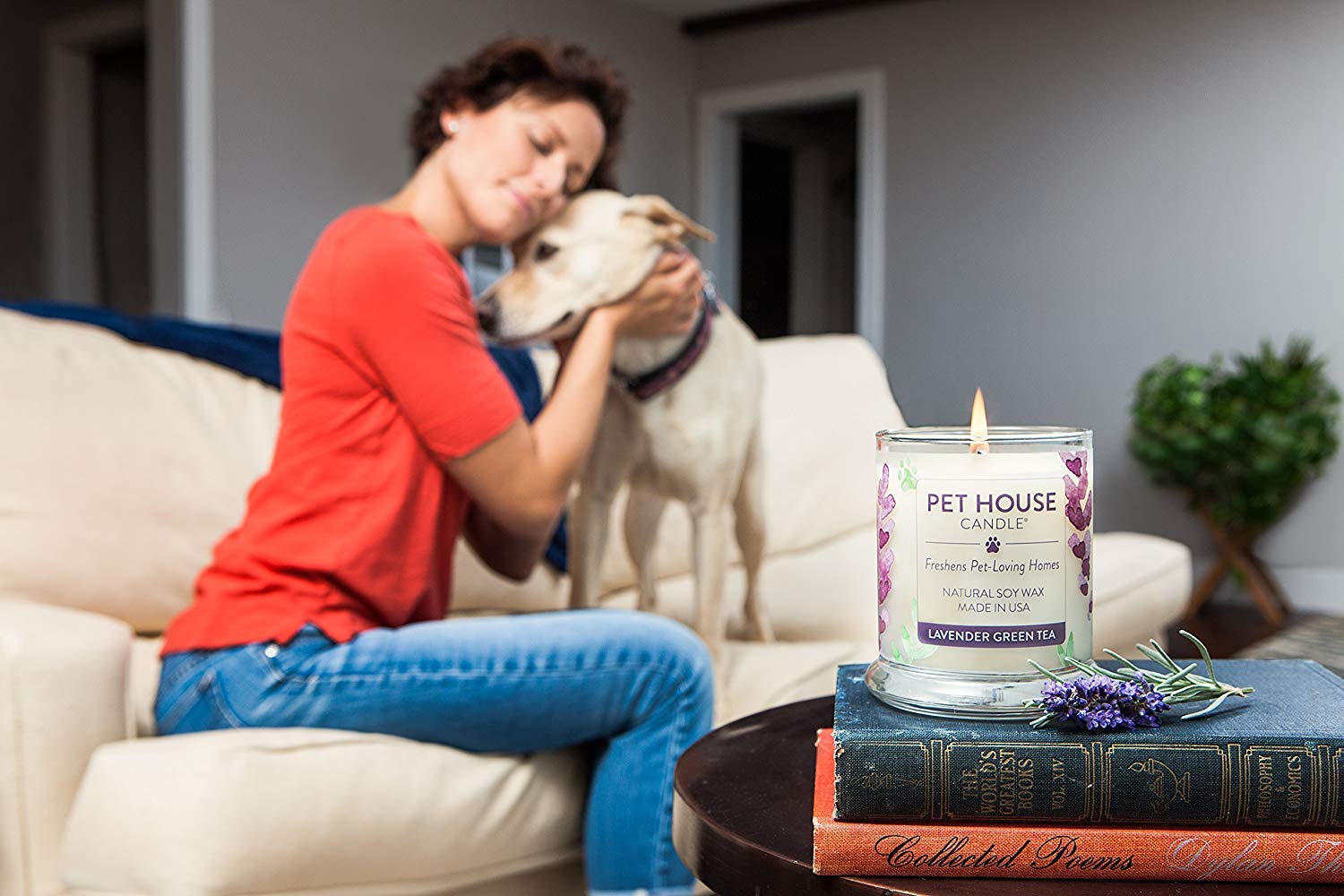 One Fur All Pet House Soy Candle - Natural Plant-Based, Clean Burning Scented Candle for Home | Long-Lasting Pet Odor Eliminator | Candy Cane Fragrance | Perfect for Living Rooms, Bedrooms & Pet Spaces