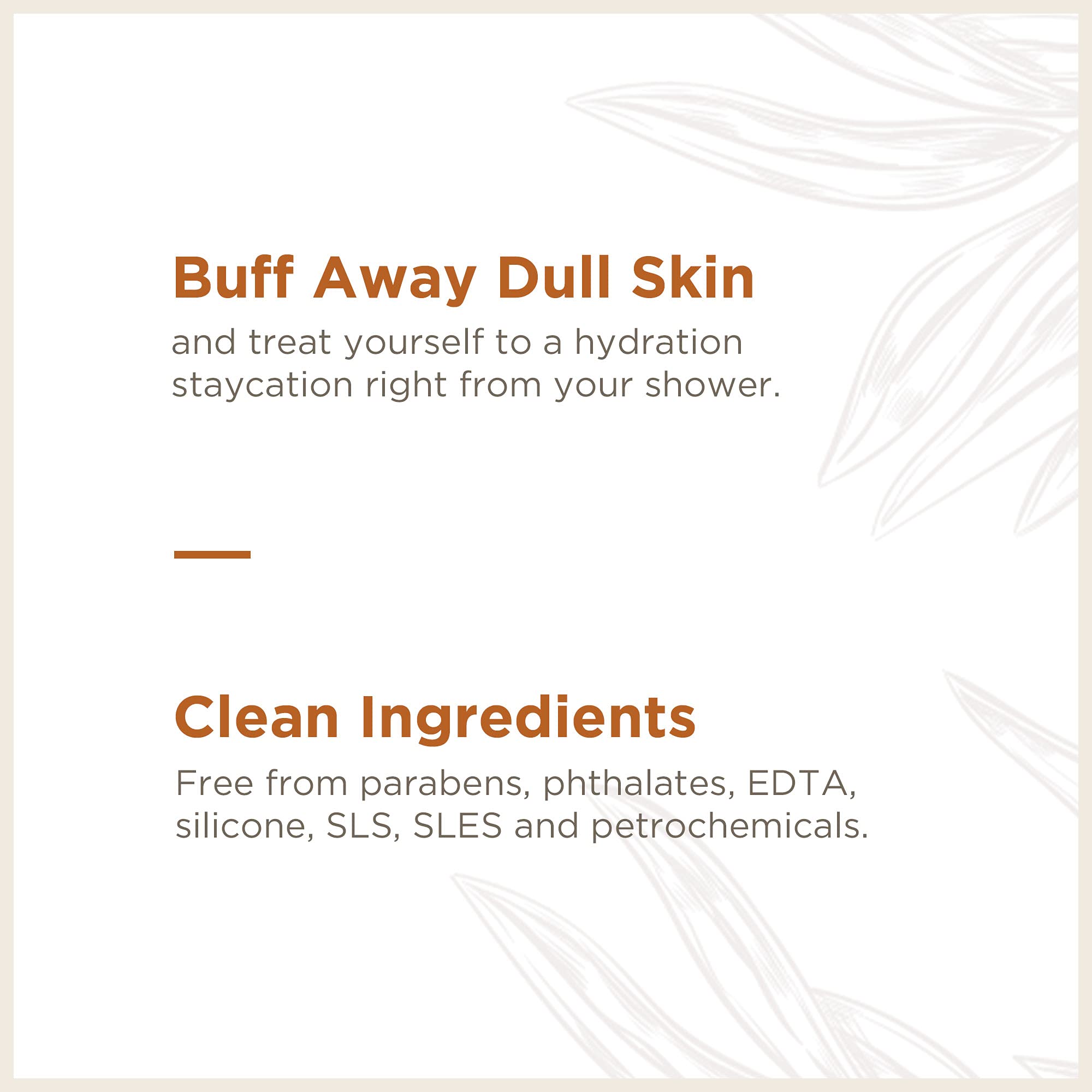 Soapbox Gentle Exfoliating Body Scrub with Coconut Milk & Sandalwood - 6oz Moisturizing Body Scrub for Smooth Skin - Infused with Coconut Oil & Aloe Vera - Perfect for Dry Skin & Post-Shower Hydration
