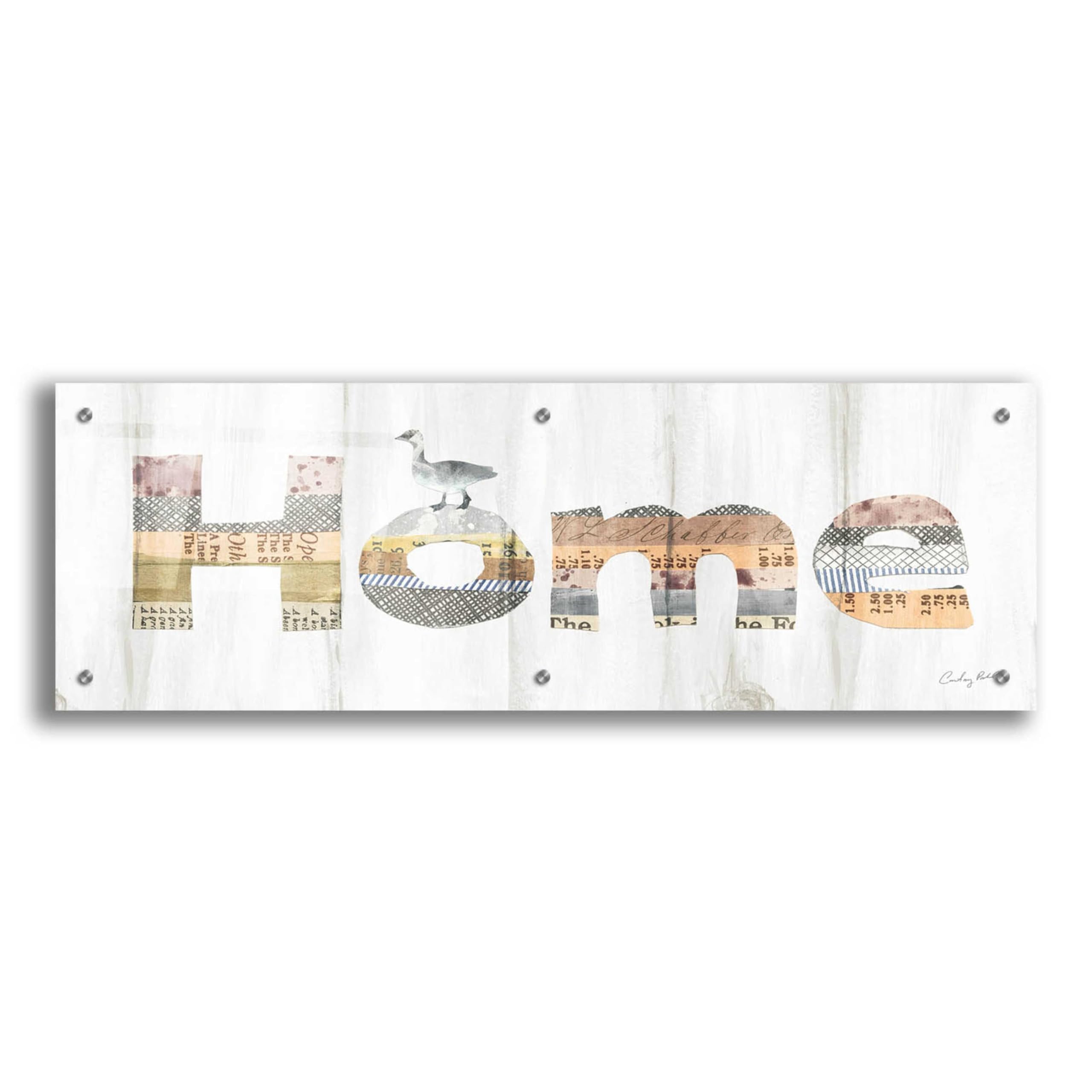 Farm Family III by Courtney Prahl - 36x12 Inch Acrylic Glass Wall Art Painting - Modern Home Decor for Living Room, Bedroom & Office