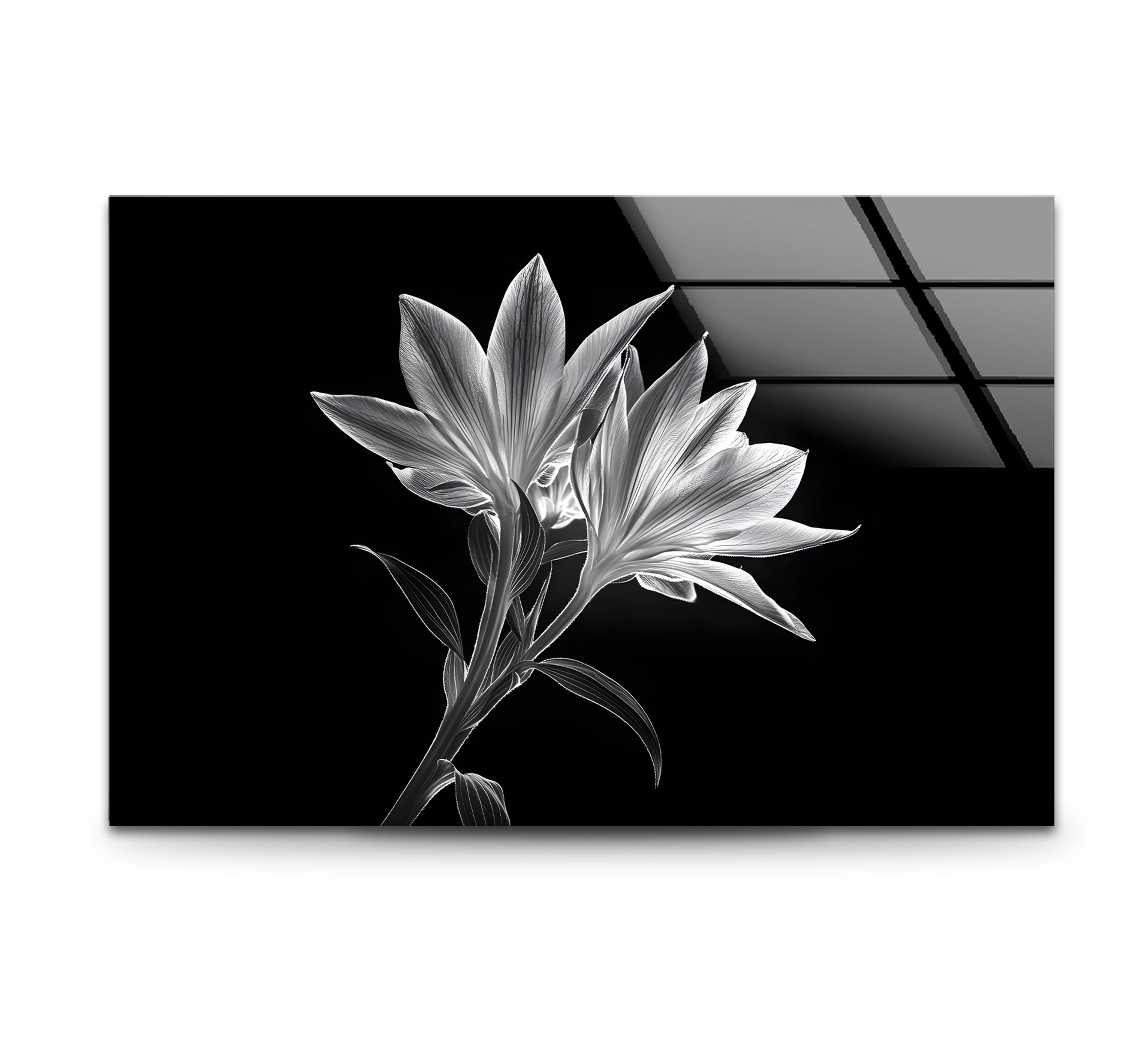 Black and White Xray Lilies Glass Wall Art - Elegant Floral Decor for Living Room, Bedroom, or Office - Perfect for Home and Office Decor