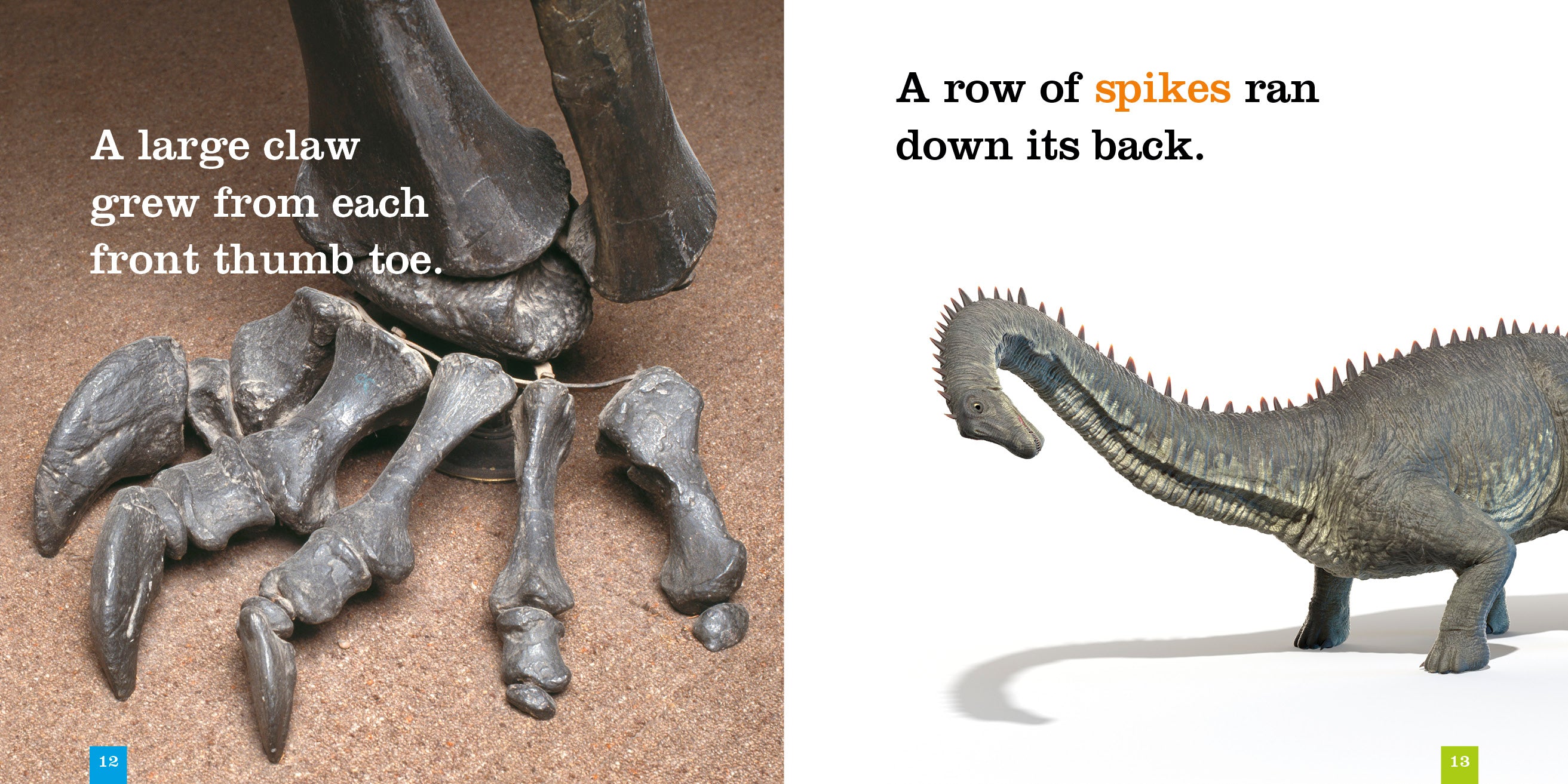 Diplodocus Dinosaur Book 9781640265028 - Educational Kids Book for Dinosaur Lovers & School Projects