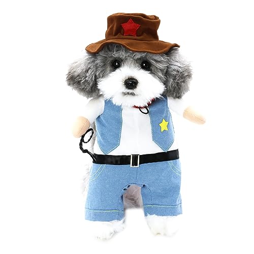 Blue cowboy