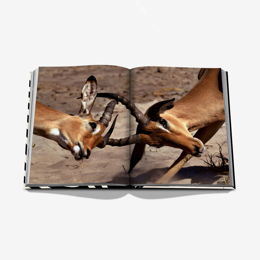 Assouline African Adventures: The Greatest Safari on Earth - Luxury Travel Coffee Table Book for Wildlife Photography & Safari Enthusiasts - Perfect for Home Decor & Travel Inspiration