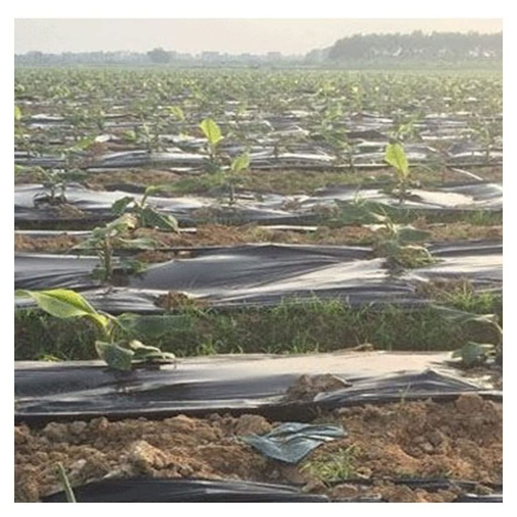 150cm Wide Thickened Black PE Agricultural Sunshade Film - Greenhouse Frost Protection, Weed Control & Plant Growth Cover | Ideal for Greenhouse Insulation, Garden Weed Barrier & Crop Protection