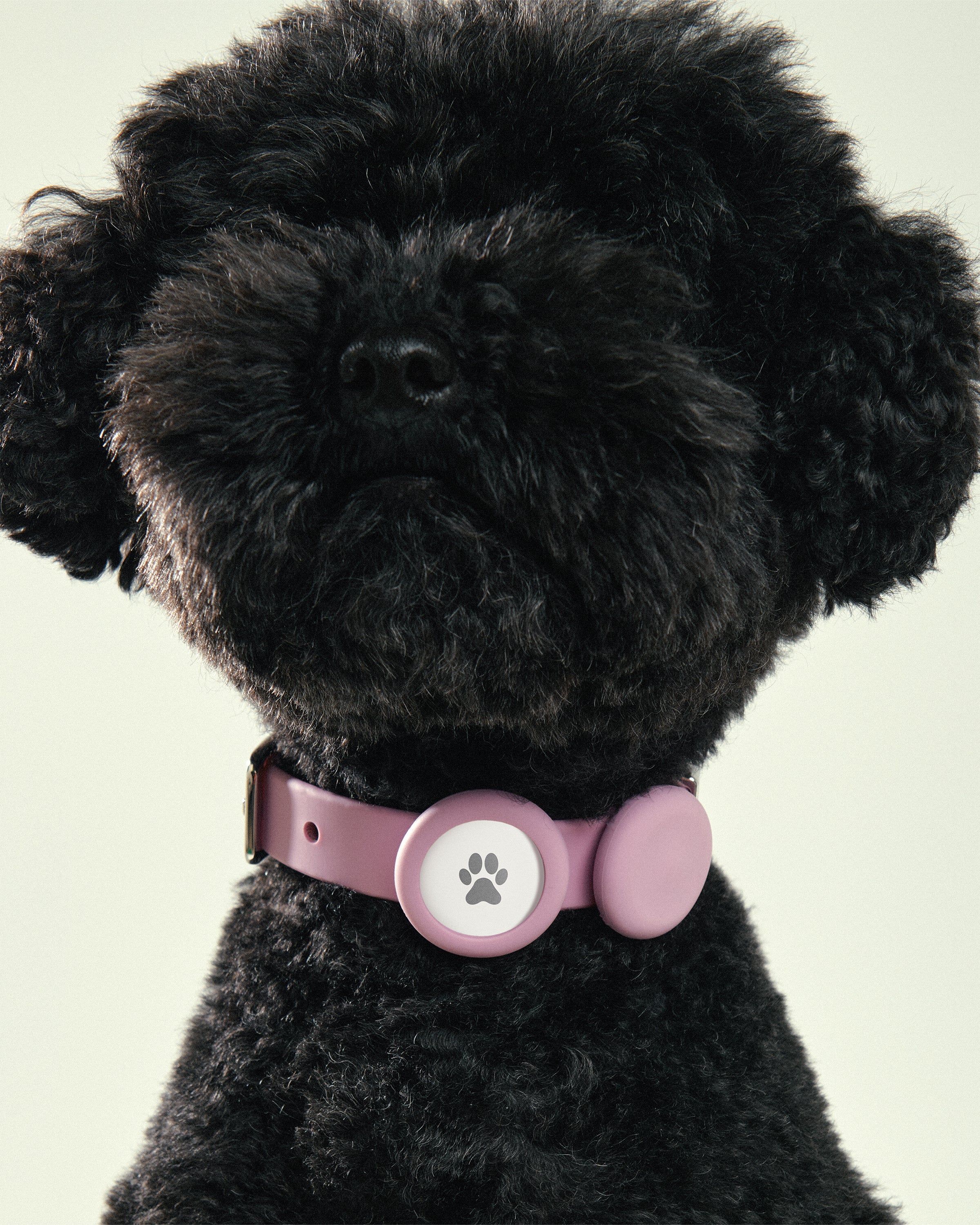 Universal Pet Safety Light - High Visibility LED Collar for Dogs & Cats - Perfect for Night Walks & Outdoor Adventures