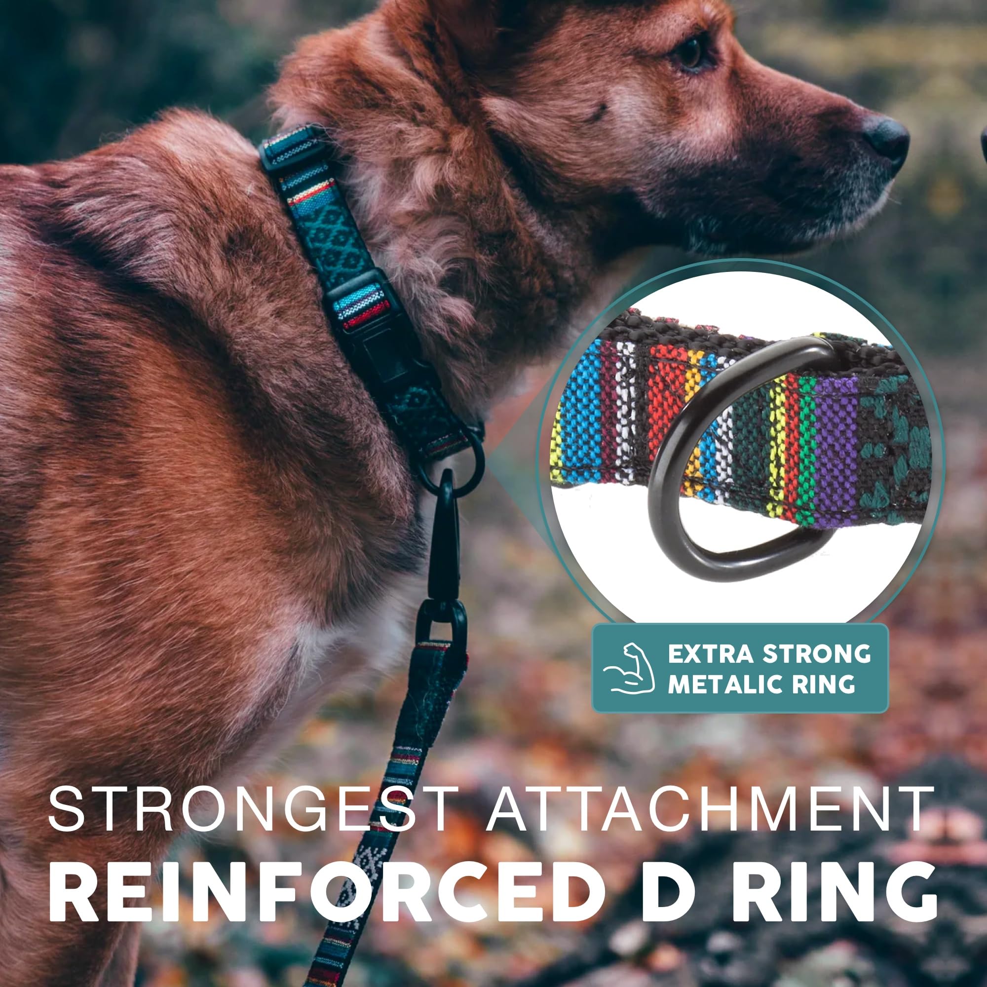 Embark Urban Dog Collar - Premium Nylon Adjustable Collar for Medium Dogs | Strong Buckle & Comfortable Fit | Perfect for Daily Walks, Training & Outdoor Adventures