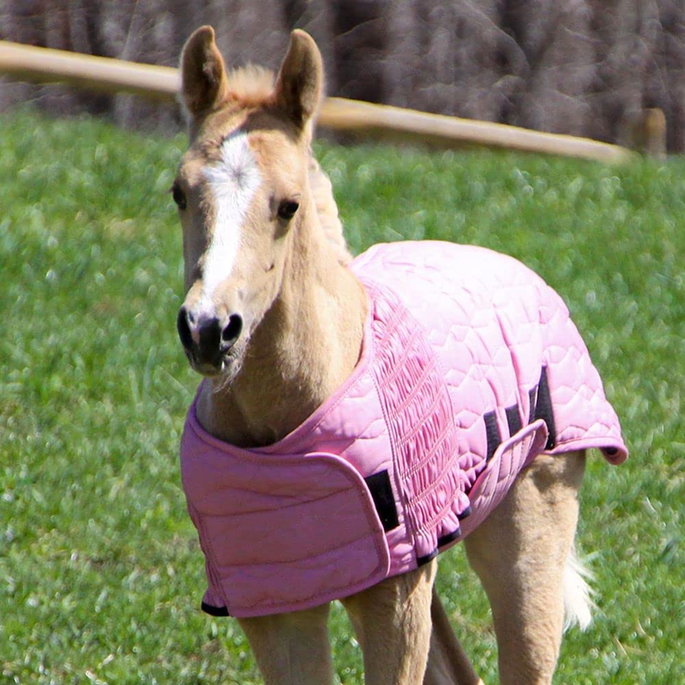UltraFlex Lightweight Foal Blanket for Horses - Tekno-Dri Technology & Breathable Cotton Mini Horse Blanket - Cold Weather Protection for Foals & Miniature Horses - Perfect for Winter Stables, Trail Riding, and Outdoor Pastures