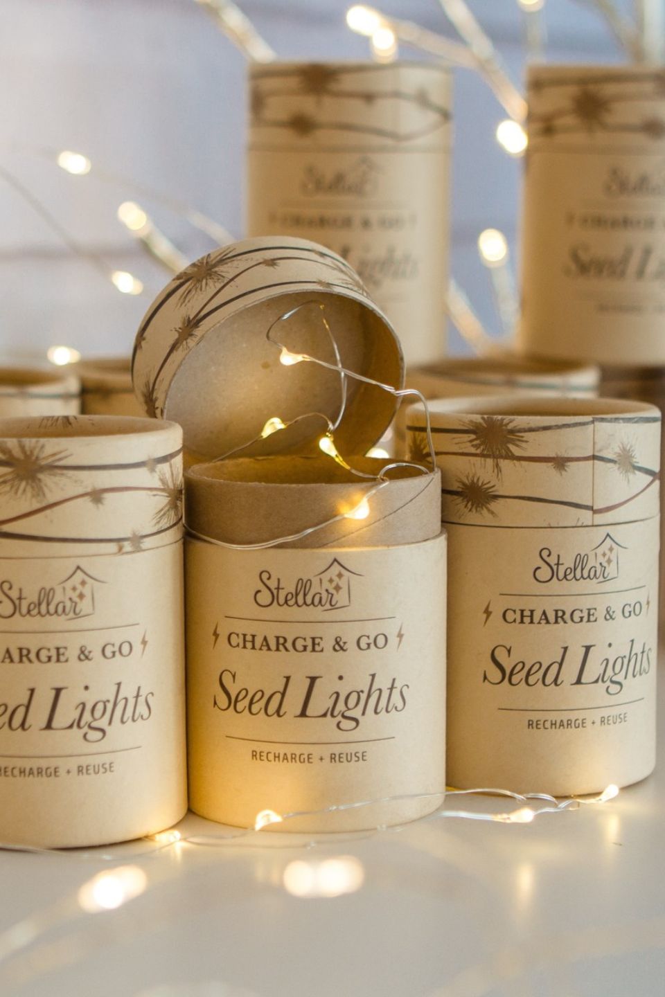 Rechargeable 3m Silver Warm White LED String Seed Lights - Perfect for Indoor/Outdoor Garden, Wedding, Party & Home Decor
