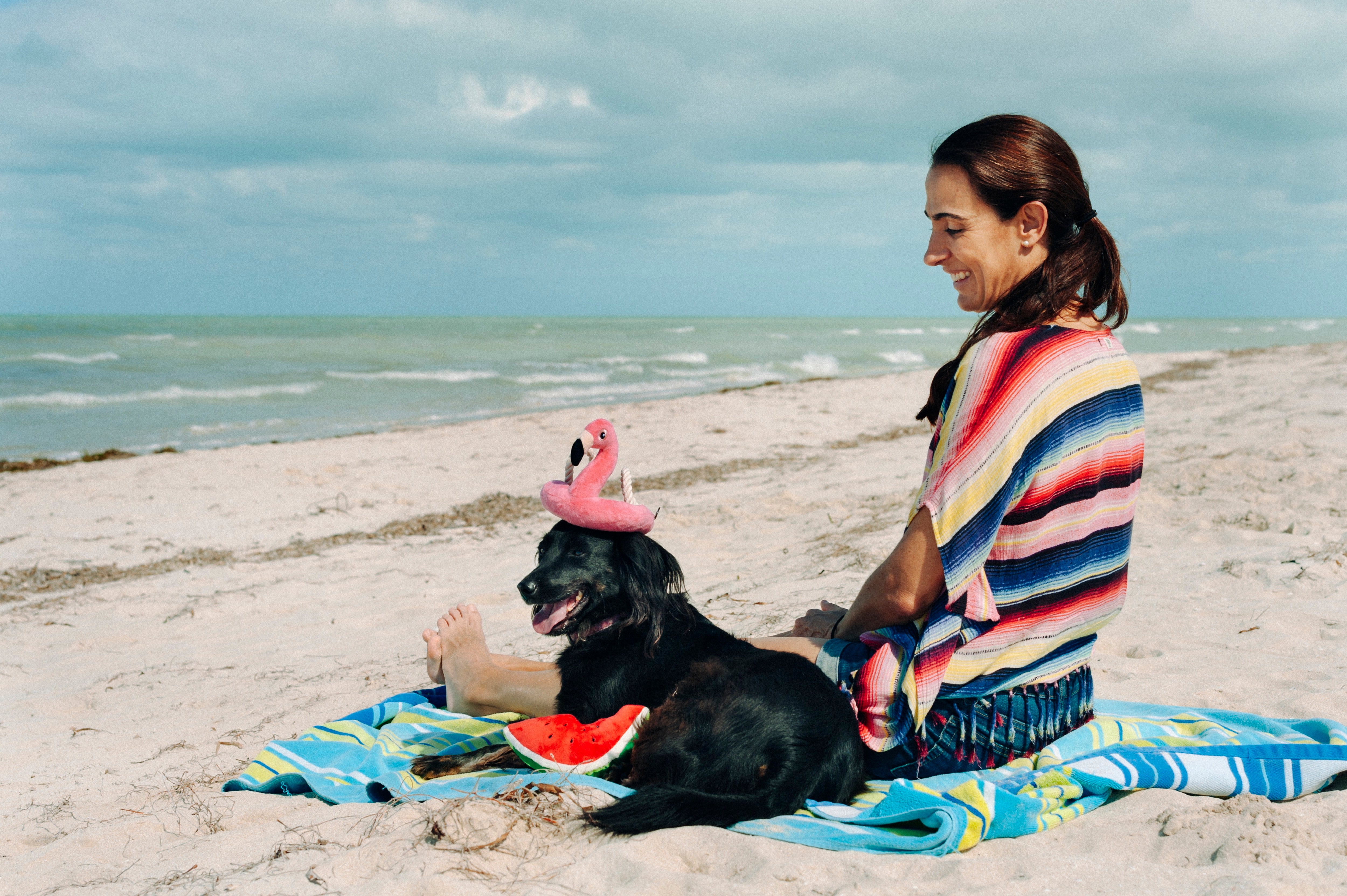 Tropical Paradise™ Watermelon Dog Plush Toy - Durable & Fun Chew Toy for Small & Large Dogs | Perfect for Playtime, Training & Cuddling | Pet P.L.A.Y.