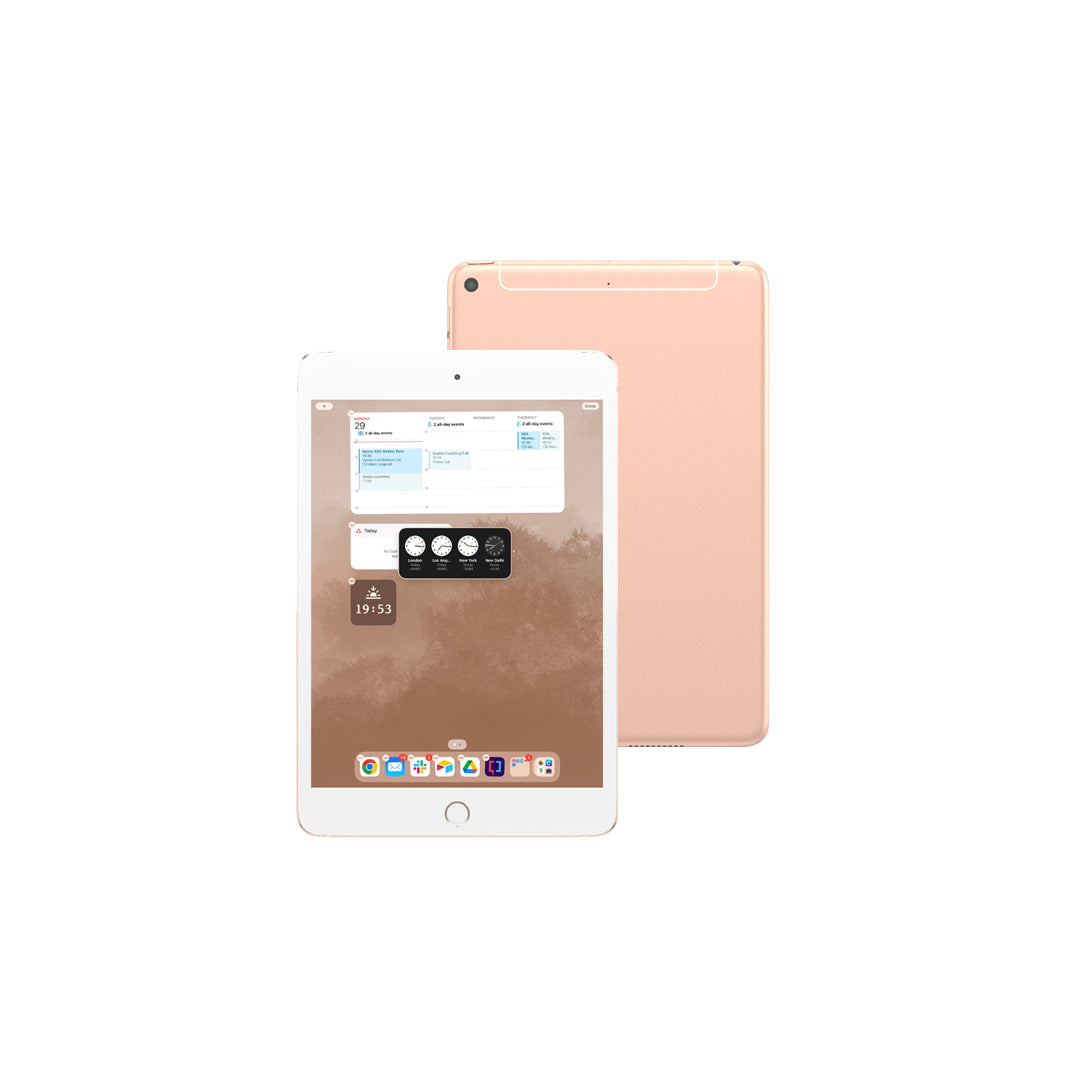Apple iPad Mini 5 (7.9-inch, WiFi, 64GB/256GB) - A8 Chip, Retina Display - Perfect for Travel, Work & Entertainment