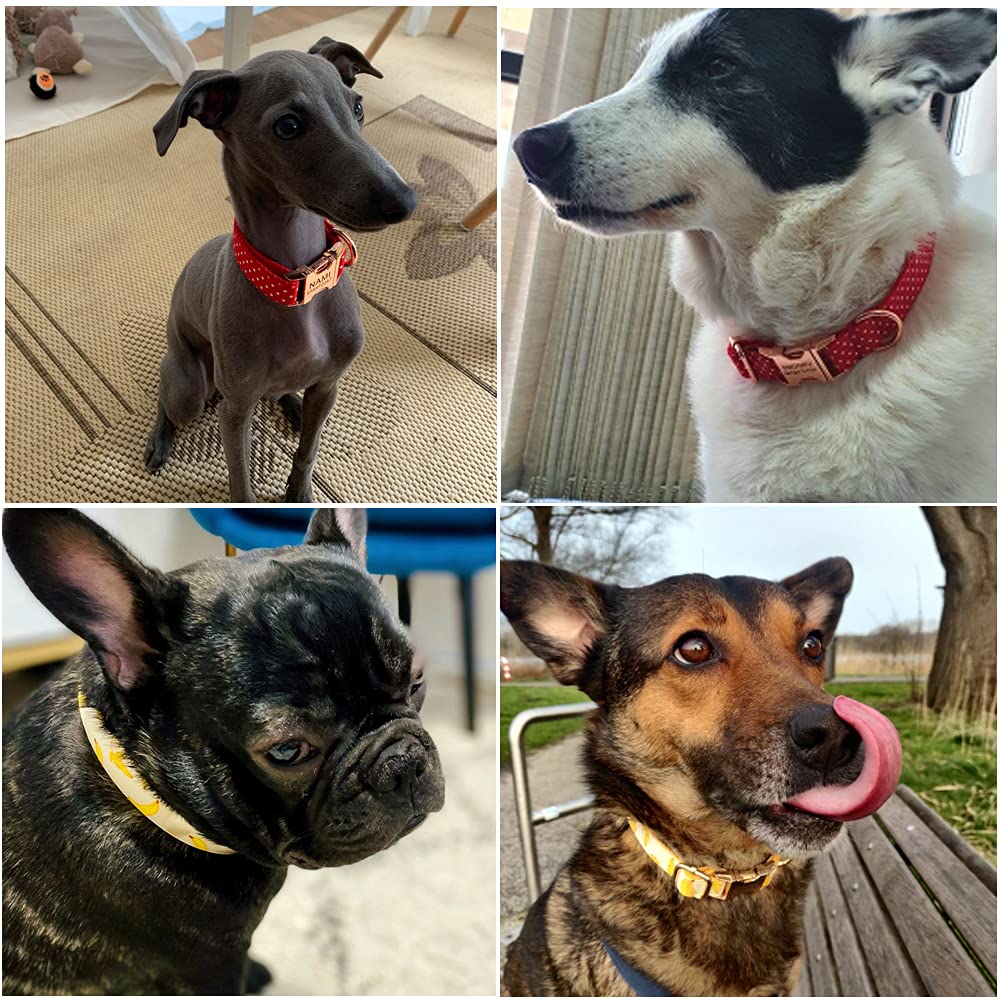 Custom Personalized Dog Collar with Name & Phone Number - for Small Medium Large Pets - Perfect for Walks & ID Safety