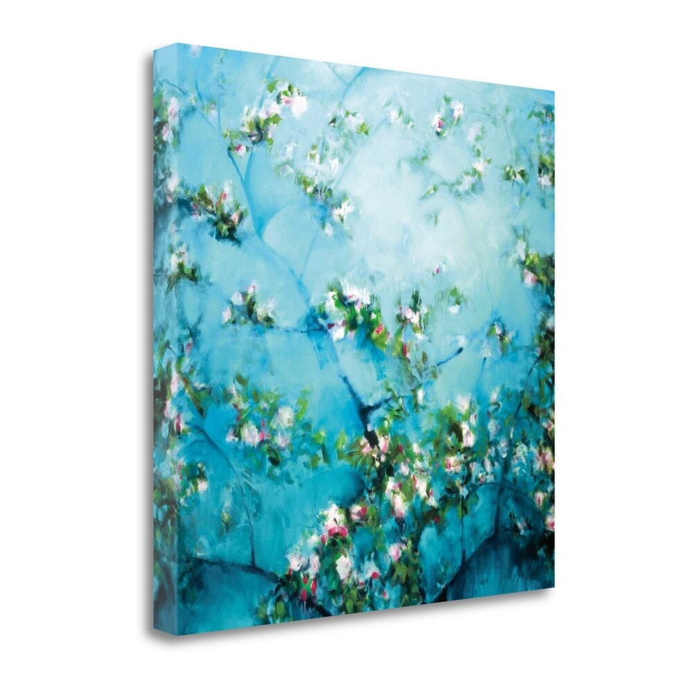 Apple Blossoms Fine Art Giclee Print by Robert Striffolino - Gallery Wrapped Canvas Wall Art, Ready to Hang - Perfect for Living Room, Bedroom & Office Decor