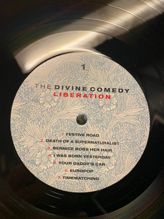 The Divine Comedy - Liberation LP Album (Reissue, Remastered, Gatefold) - Near Mint (NM/M) Condition - Perfect for Vinyl Collectors & Music Enthusiasts