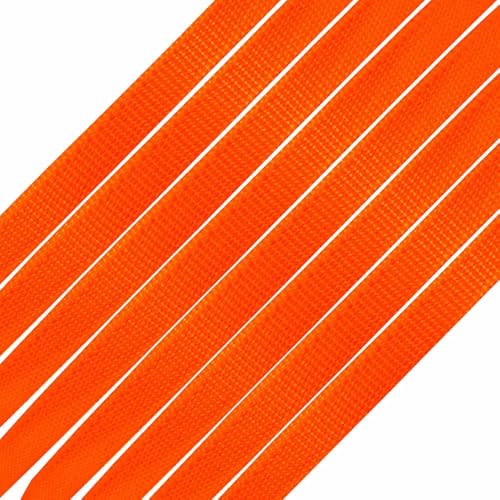 Neon Orange