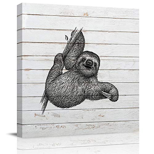 SlothCBU3405
