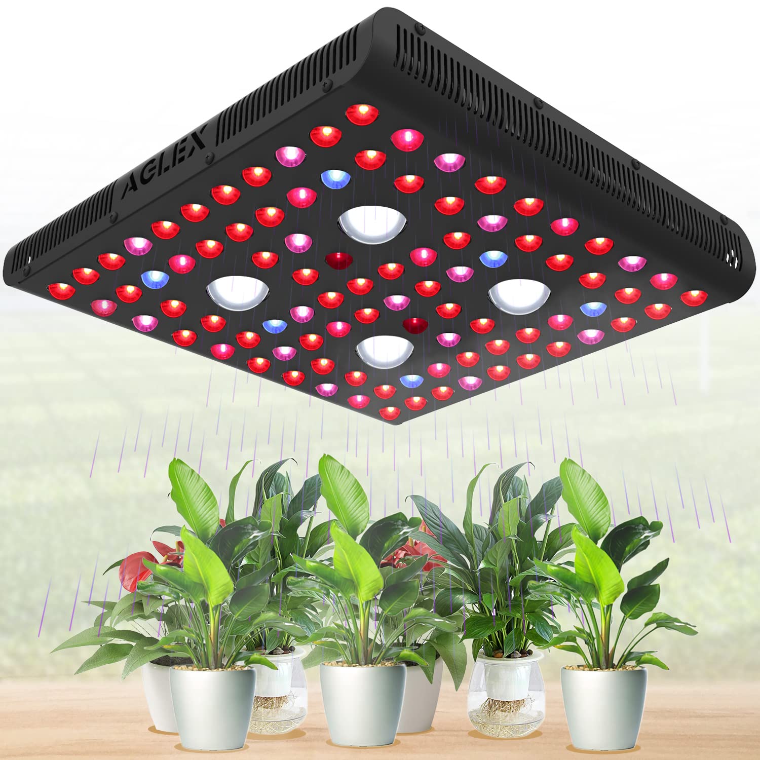 AGLEX COB 2000W LED Grow Light Full Spectrum - Plant Growing Lamp with Daisy Chain & Veg/Bloom Switch for Hydroponic Greenhouse, Indoor Plants, Vegetables & Flowers | Ideal for Seedlings, Hydroponics & Indoor Gardening