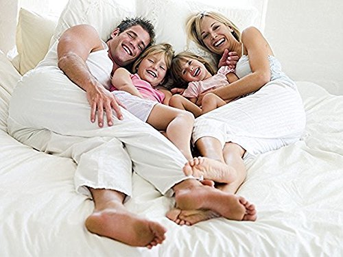 Premium 800 Thread Count Full Size Cotton Flat Sheet - Soft & Breathable Top Bed Sheet - Single Piece (Red) - Perfect for Home, Hotel, or Dorm Room Comfort
