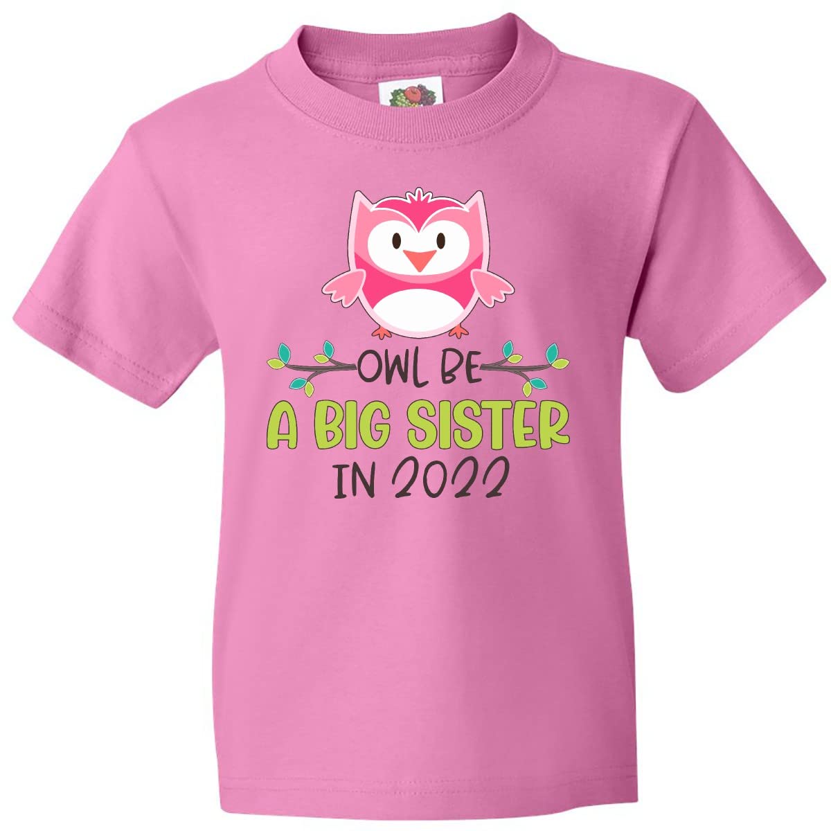 2022 Owl Be a Big Sister Youth T-Shirt | Cute Owl Graphic Tee for Kids & Toddlers | Perfect for Sibling Announcement & Family Events