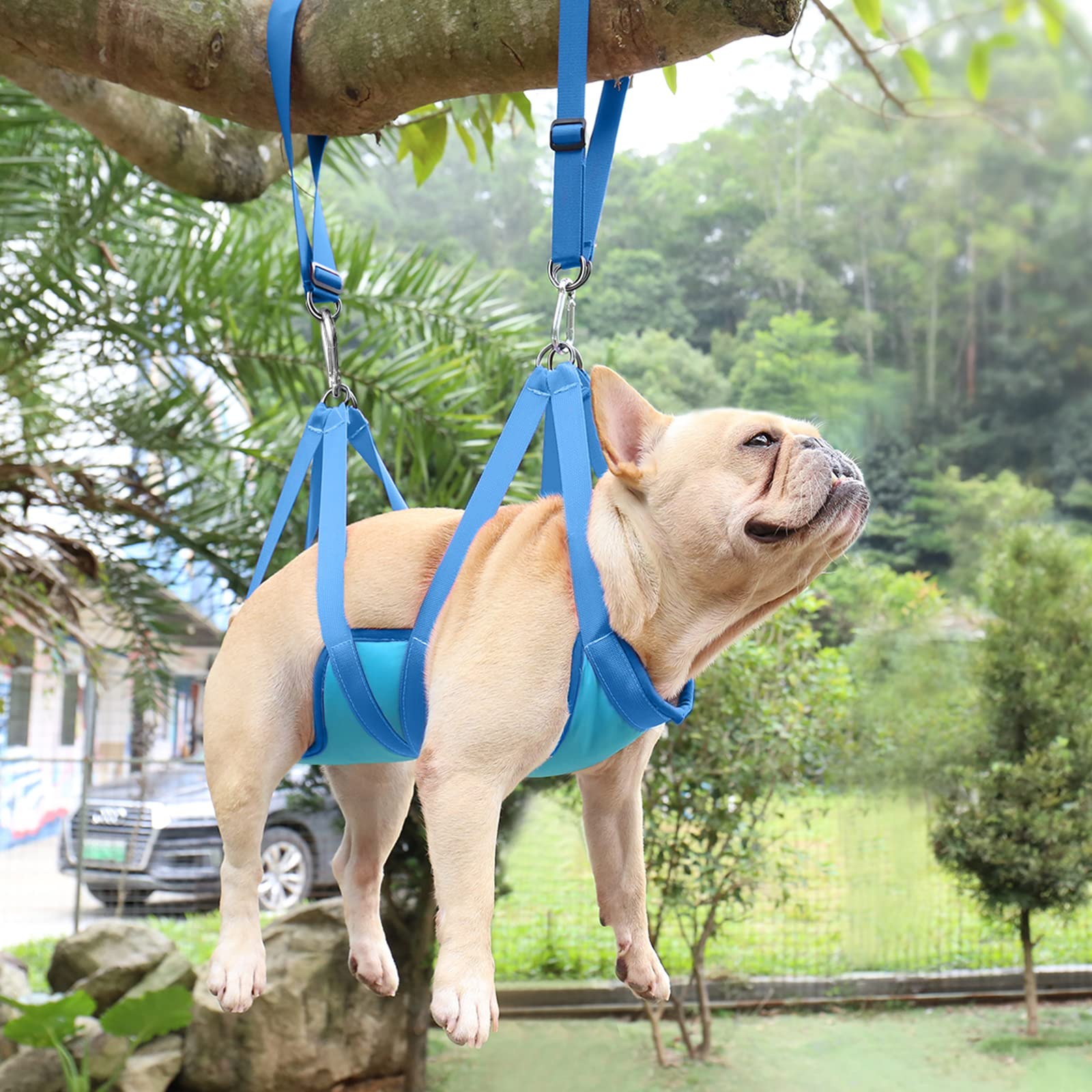 Labpepet Pet Grooming Hammock Harness for Dogs & Cats - Dog Sling Restraint Bag with Nail Clippers, Trimmer, Nail File & Comb Kit - Perfect for Home Grooming, Vet Visits & Nail Care Sessions