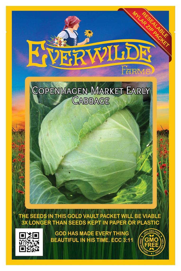 500 Copenhagen Market Early Cabbage Seeds - Non-GMO, Heirloom Vegetable Seeds for Home Garden - Perfect for Spring Planting, Fresh Salads & Fermenting Sauerkraut