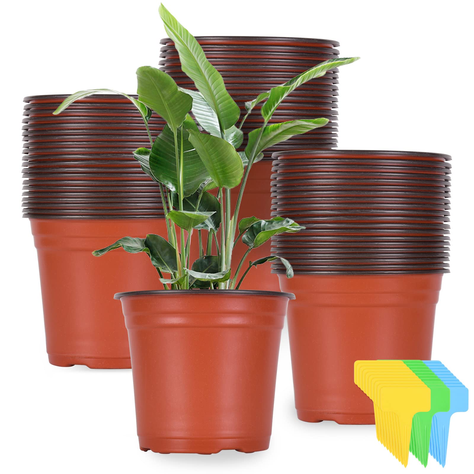Kleeblatt 100-Pack 6 Inch Plastic Nursery Pots with 30 Plant Labels - Seedling Containers for Flowers, Herbs & Vegetables | Ideal for Indoor Gardening, Greenhouses & Home Plant Propagation