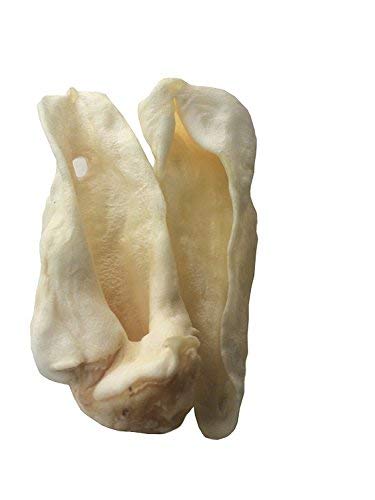 Premium Free-Range Lamb Ear Dog Chews - All Natural, Healthy Dog Treats for Small & Large Breeds (10 Count) - Perfect for Training, Dental Health & Long-Lasting Chewing
