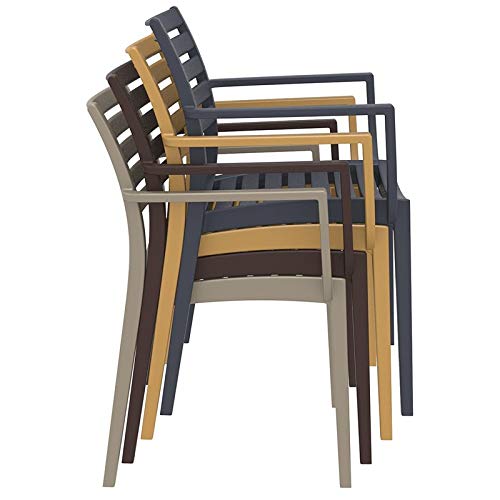 Artemis Outdoor Patio Dining Arm Chairs Set of 2 - Weather-Resistant Black Metal Garden Chairs for Backyard, Poolside, and Restaurant Outdoor Seating