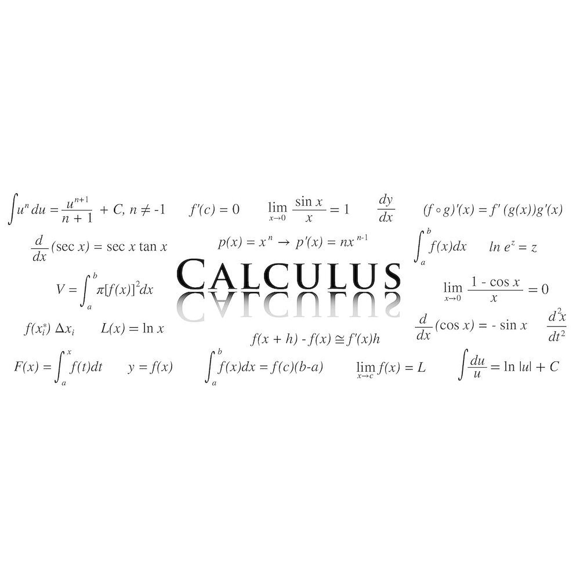 Calculus Equations Coffee Mug - 11 oz (325 ml) Ceramic Cup - Perfect for Math Teachers, Students & Science Lovers - Great Gift for Classroom, Office & Study Sessions