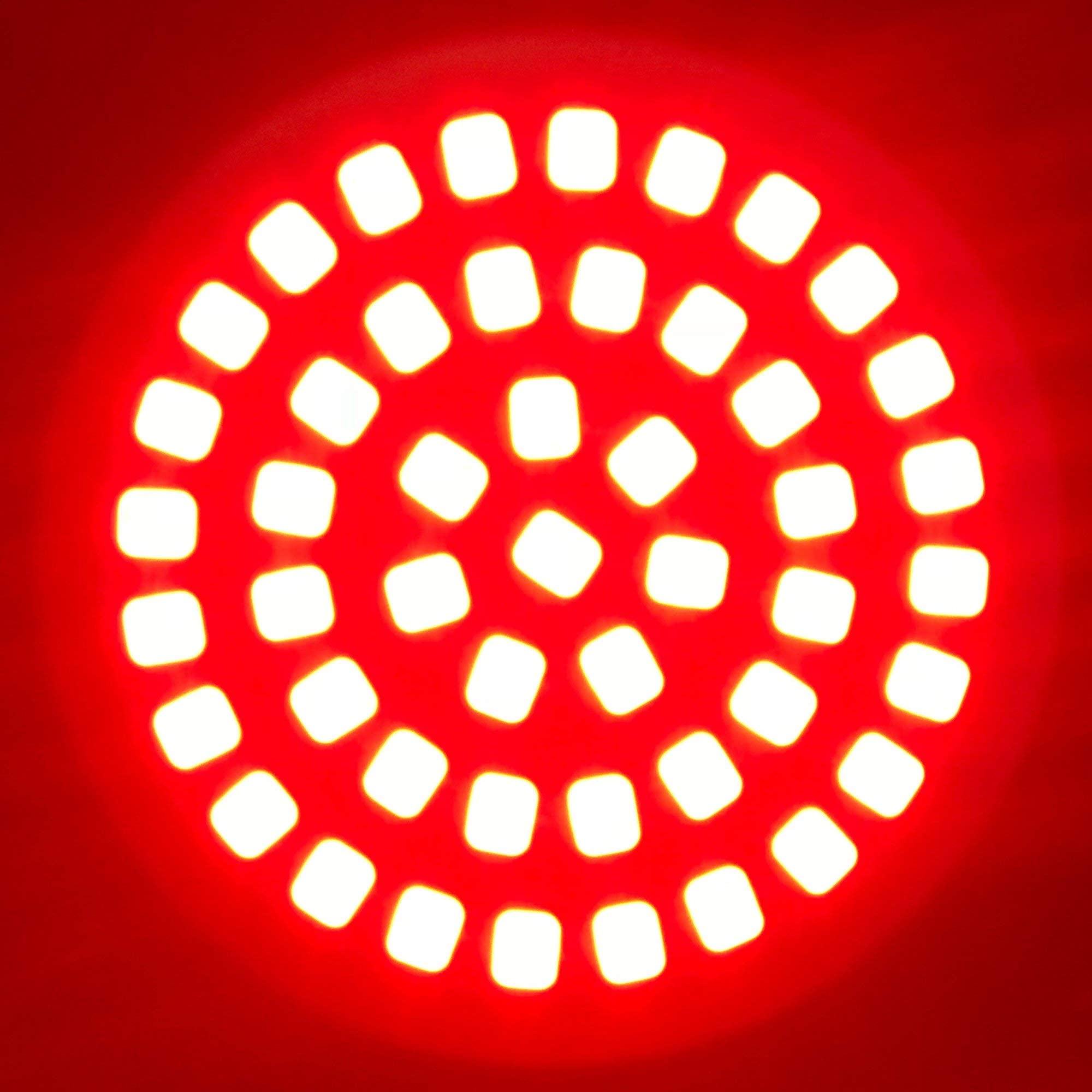 Rogue Rider Industries - Black Label Special Edition 1156 LED Motorcycle Turn Signals - Flashing Red Rear Replacement Lights for Harley Davidson - Perfect for Night Riding & Enhanced Safety