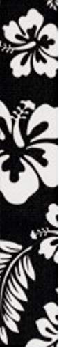 Black Luau