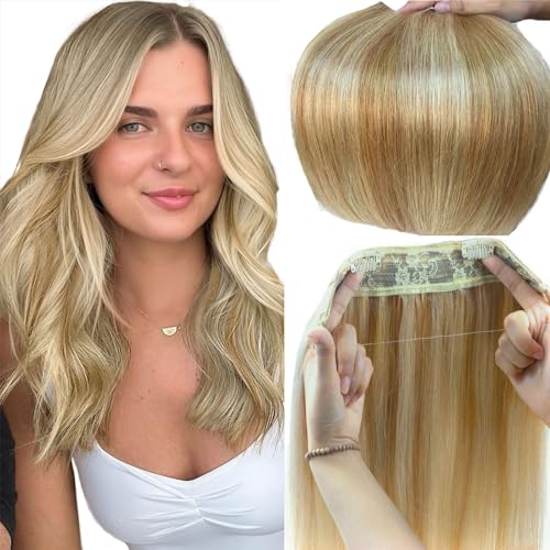 Highlighted Chocolate Brown and Golden Blonde #16/613