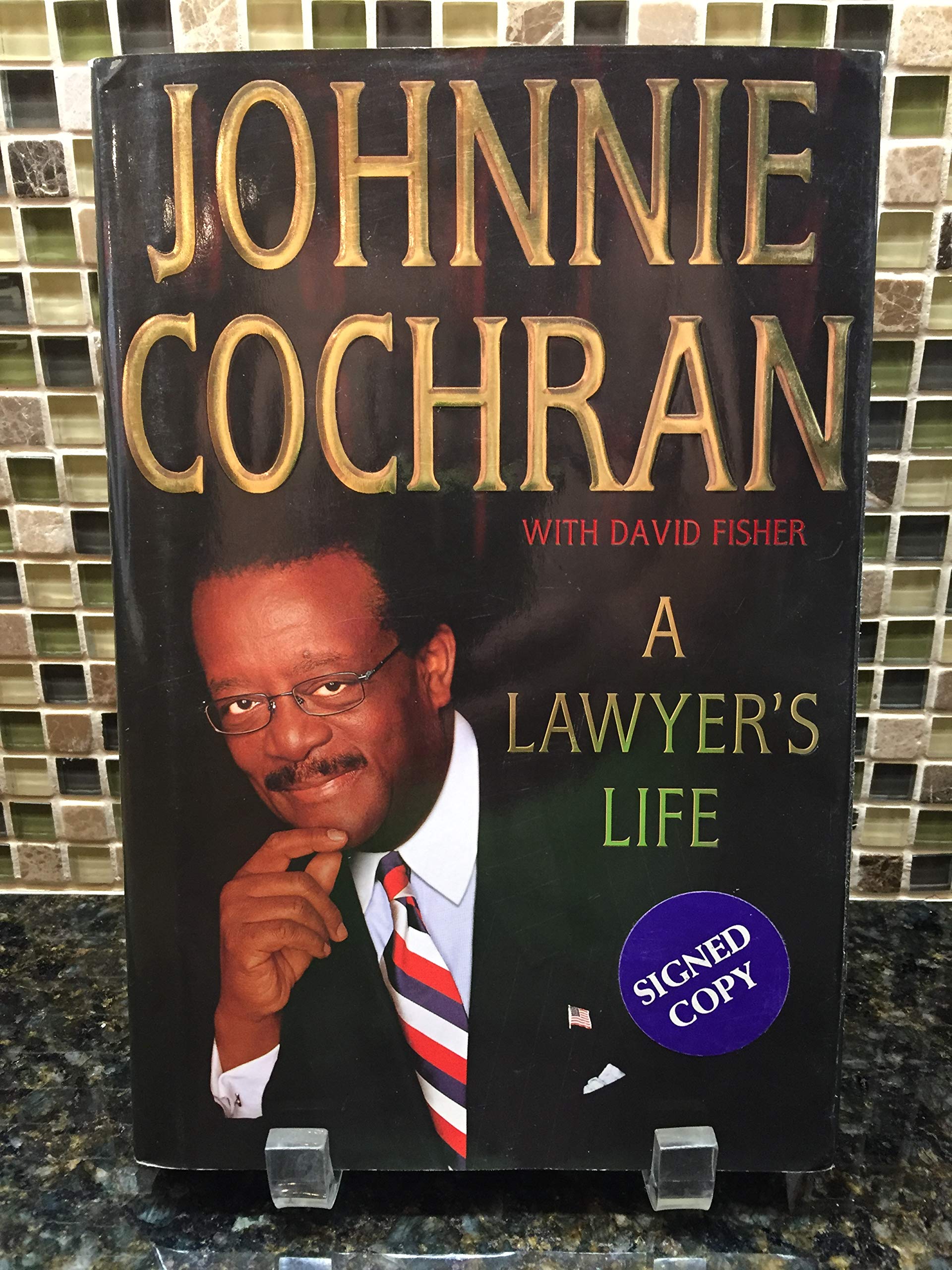 The Life of a Lawyer: Career Insights, Challenges & Success Stories | Legal Profession Guide for Aspiring Attorneys & Law Students