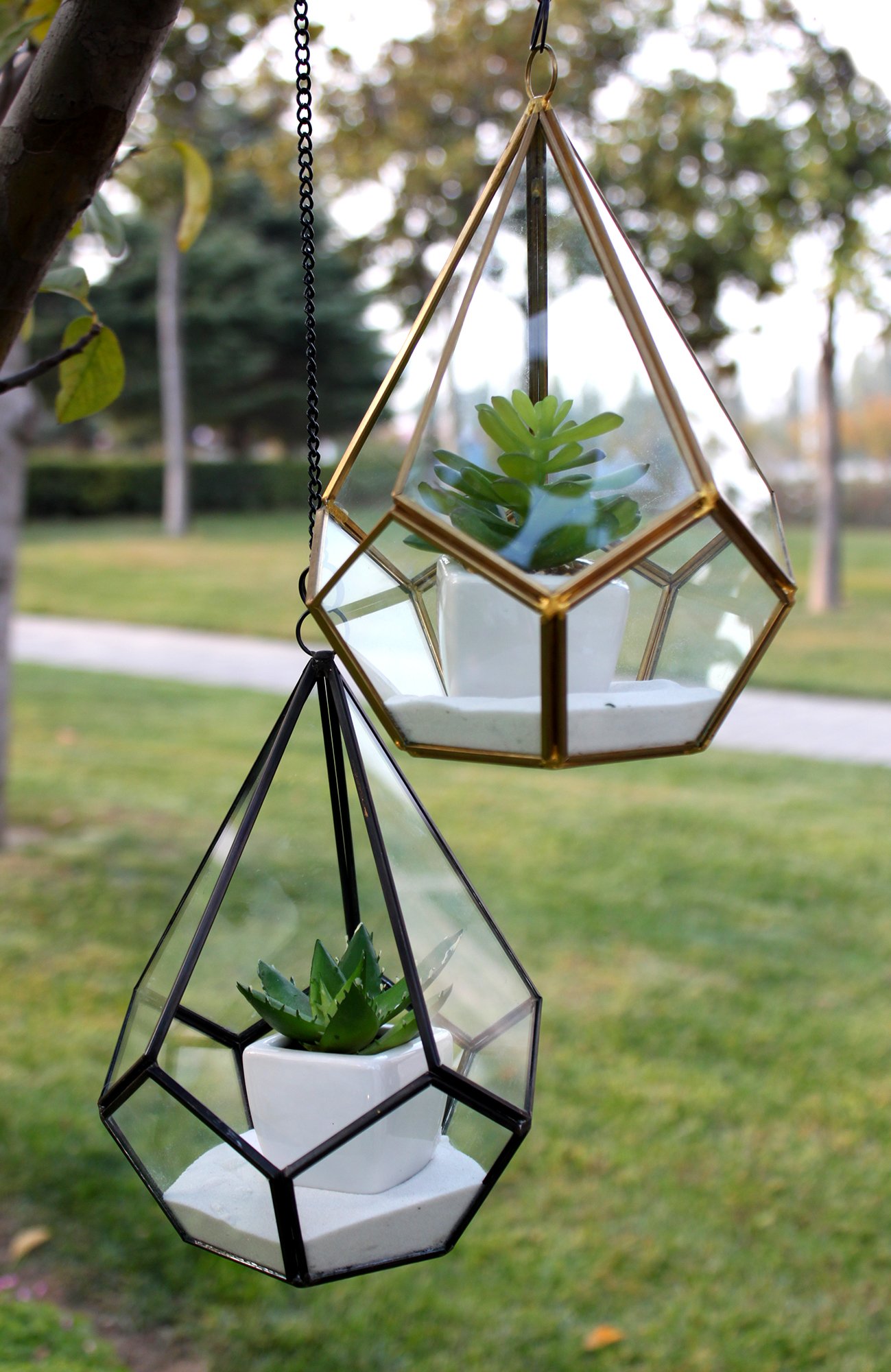 WGV Hanging Geometric Planter Terrarium - 5.5