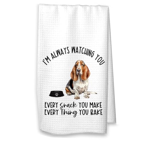 Basset No Name