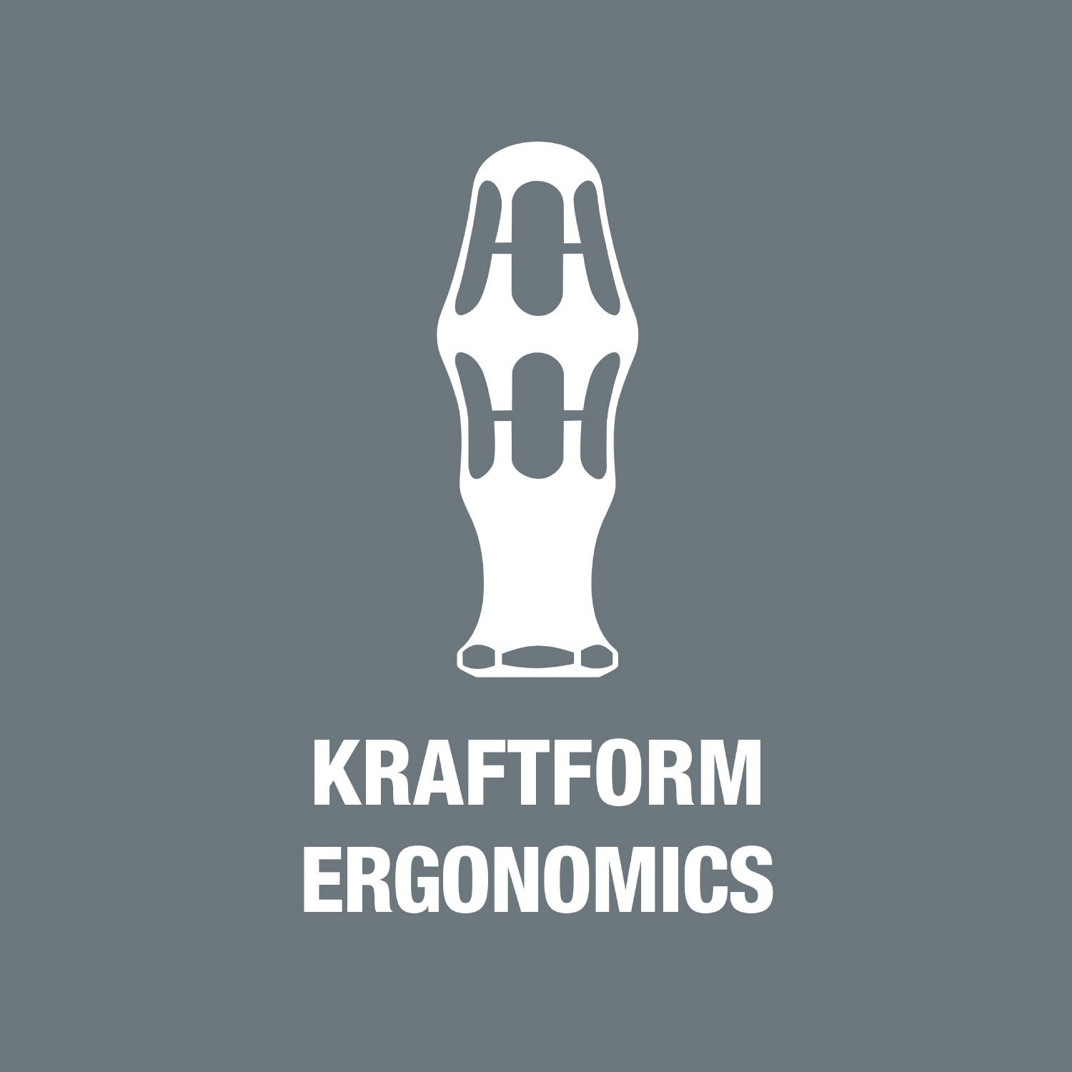 Wera 05027910001 Kraftform 300 Hex Torque-Indicator Screwdriver - 2mm Hex Head, 65mm Blade Length - Perfect for Precision Mechanics & Electronics Repair