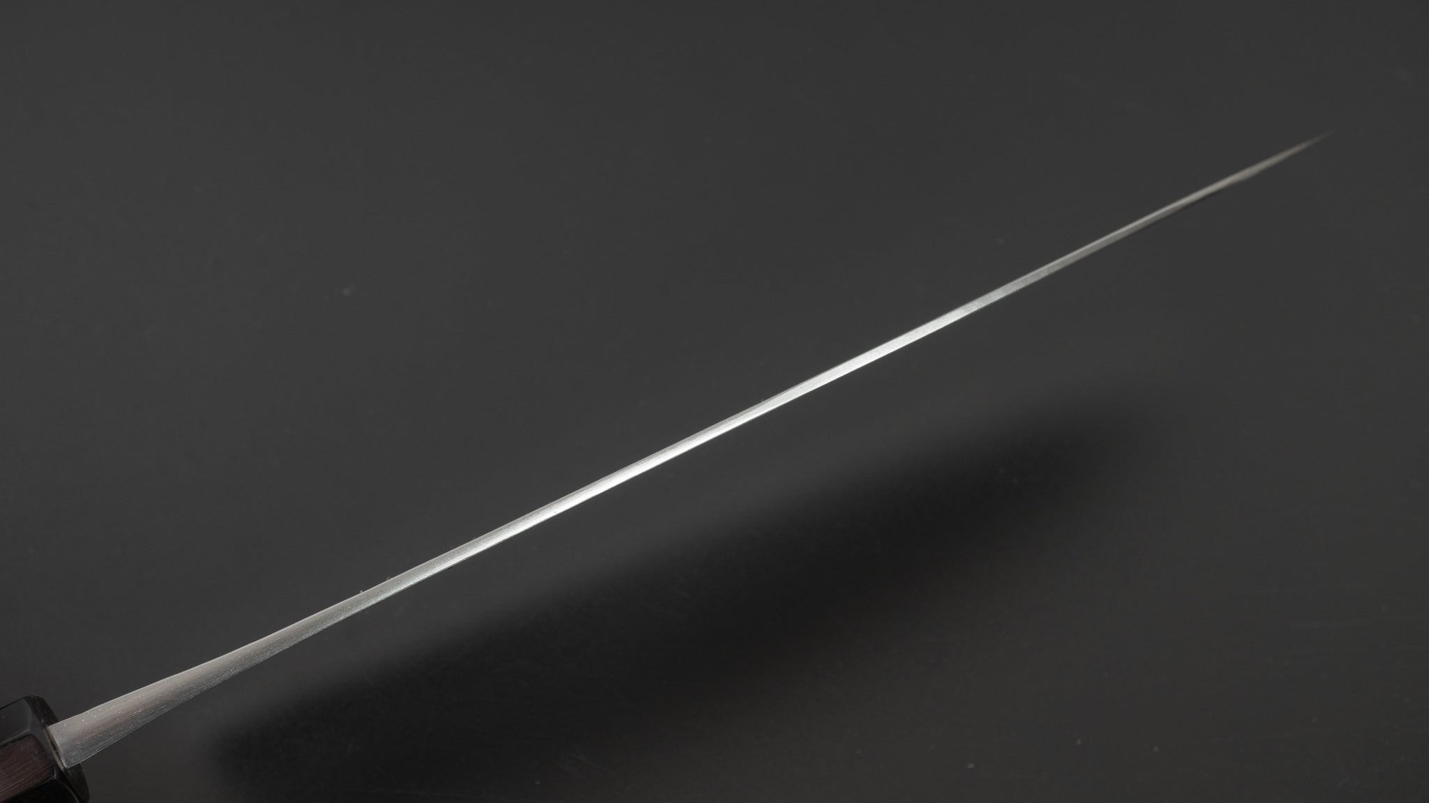 Premium Jiro Tsuchime Wa Gyuto 240mm Japanese Chef Knife with Taihei Tagayasan Handle - Perfect for Sushi, Meat Slicing & Professional Kitchen Use