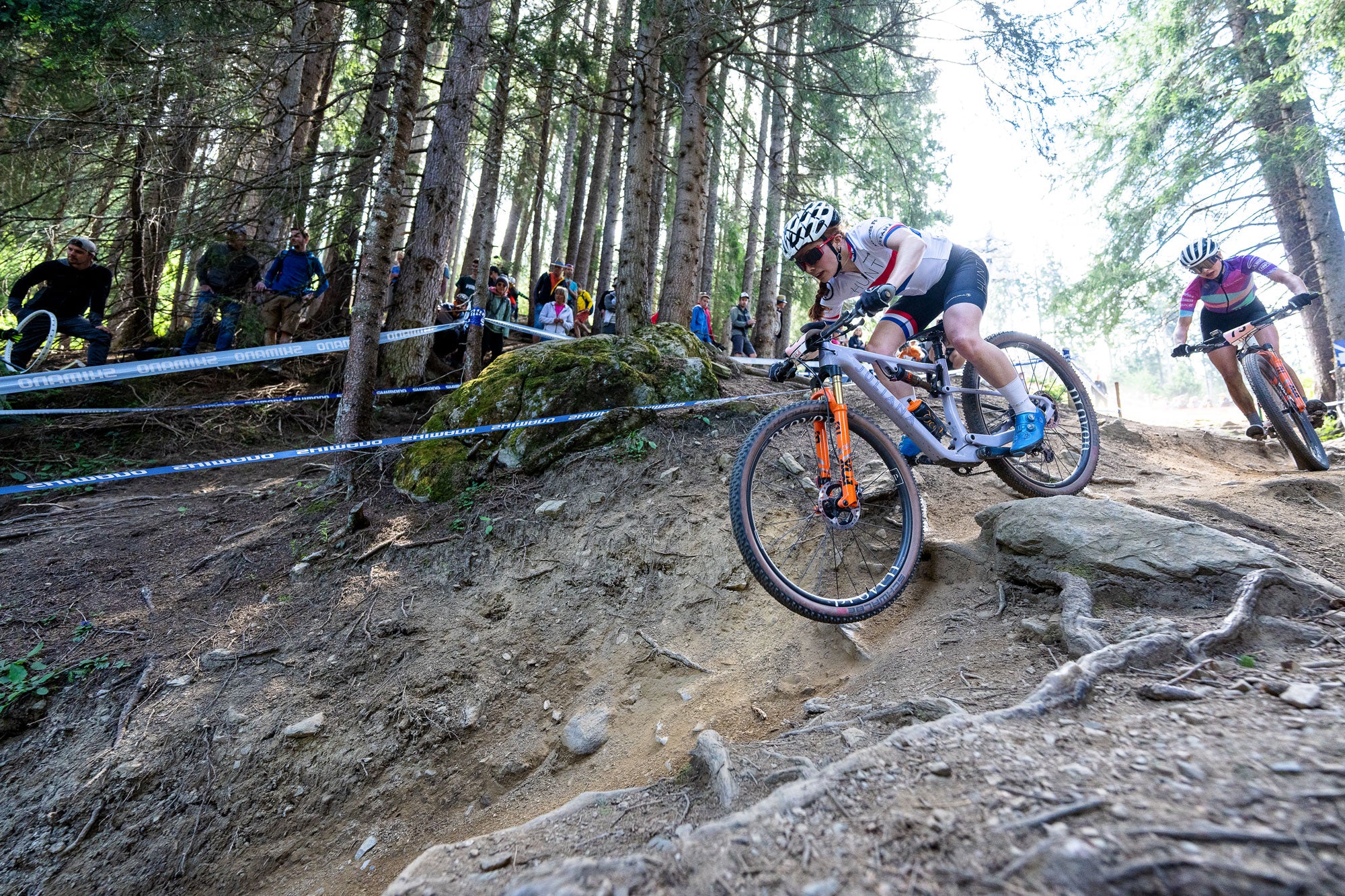 Re:New HUNT Proven Carbon Race XC MTB 29 Wheelset - Lightweight & Durable Mountain Bike Wheels for Cross-Country Racing - Perfect for Trail Riding, Enduro & Competitive Cycling
