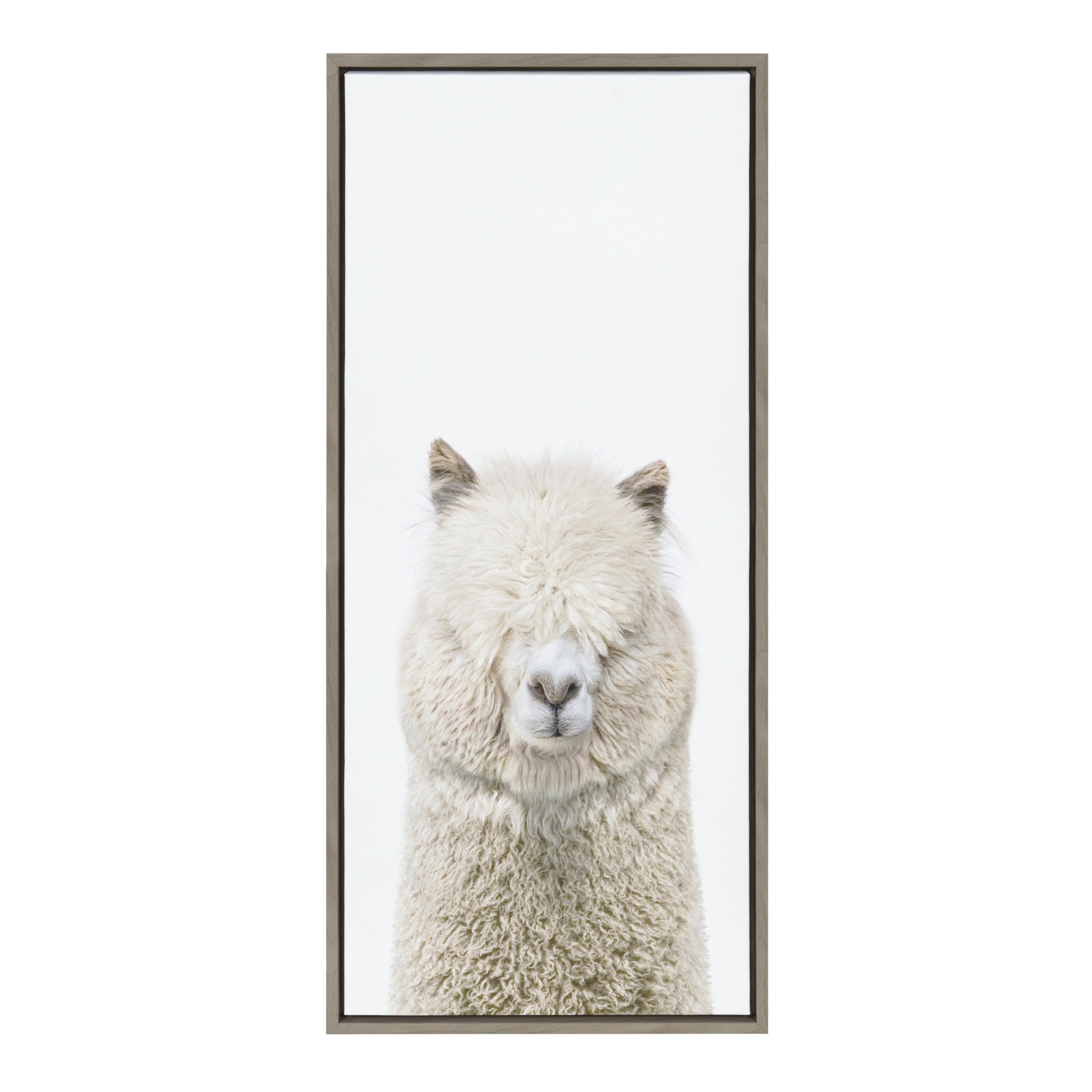 Kate and Laurel Sylvie Alpaca Fluff Framed Canvas Wall Art by Amy Peterson Art Studio - 18x40 Inches Gray Modern Animal Painting - Home & Office Decor, Living Room, Bedroom Wall Art