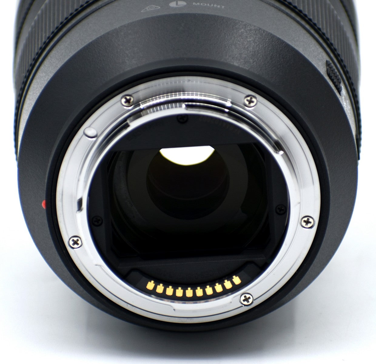Panasonic Lumix S1 24.2MP Full Frame Mirrorless Camera with 24-105mm f/4 S Series Lens - Excellent Open Box Condition - Perfect for Professional Photography, Travel & Videography