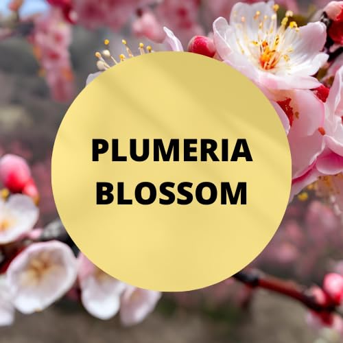 Black Canyon Plumeria Blossom Scented Body Lotion & Spray Set - Tropical Floral Moisturizer & Fragrance Mist for Women - Perfect for Summer, Vacations & Daily Hydration