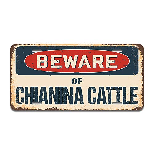 Beware of Chianina Cattle