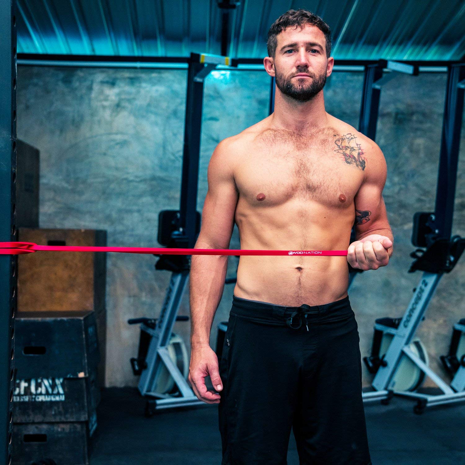 WOD Nation Pull Up Assistance Bands (10-175lbs Resistance) - Premium Workout Bands for Pullups, Chin Ups, Strength Training & Mobility Exercises - 41 Inch Fitness Straps - Perfect for Home Gym, CrossFit & Physical Therapy
