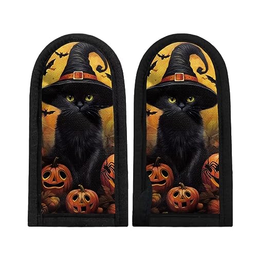 Halloween Black Cat Pumpkin