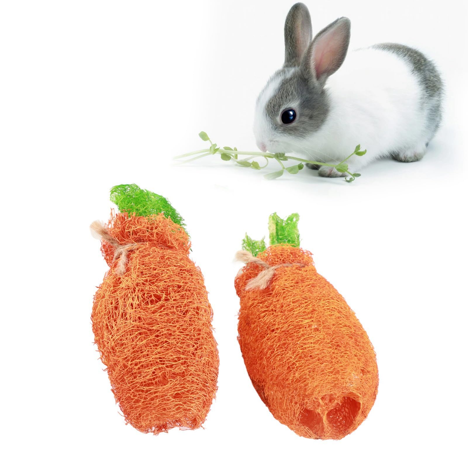 Natural Loofah Rabbit Chew Toys for Small Animals - 2 Pack Dental Treats for Teeth Grinding - Perfect for Bunnies, Guinea Pigs & Hamsters - Promotes Healthy Teeth & Stress Relief