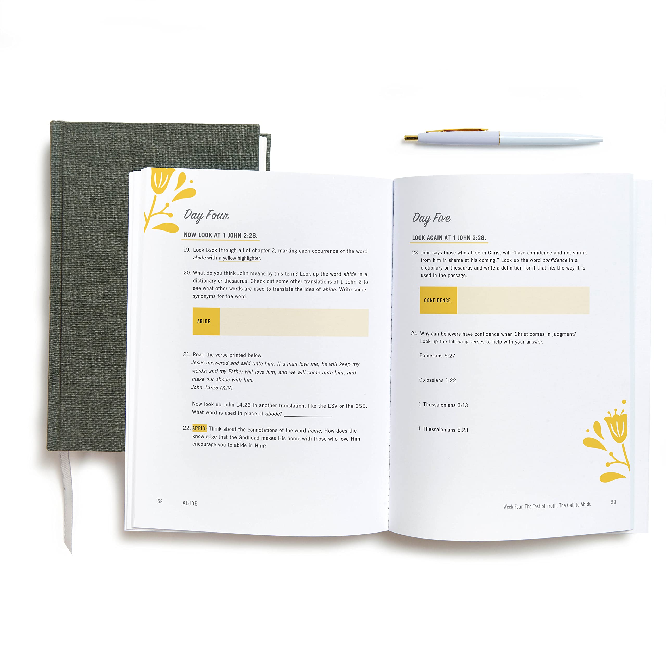 Abide - Bible Study Book with Video Access: A Study of 1, 2, and 3 John | Christian Devotional Guide for Small Groups & Personal Bible Study