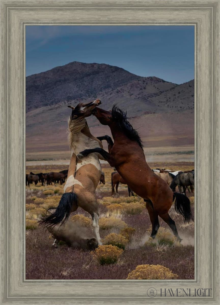 Desert Duel 1 by Greg Sargent - Western Adventure Novel for Adults | Perfect for Book Clubs, Gifts & Western Fiction Fans