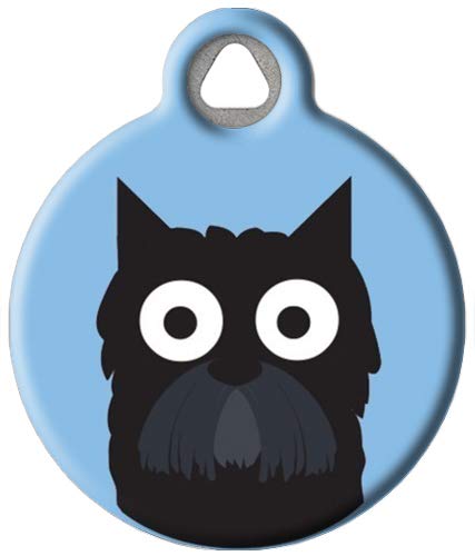 Scottish Terrier Boy